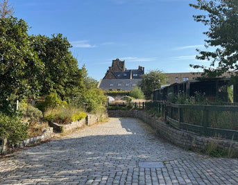 Napiers x Gorgie Community Farm – A Partnership Rooted in Community