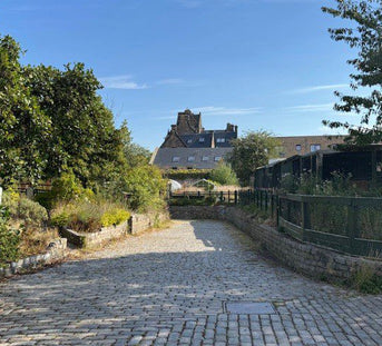 Napiers x Gorgie Community Farm – A Partnership Rooted in Community