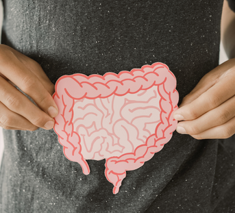 How Does Gut Health Affect Immunity?