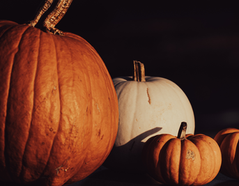 From Scary to Skincare: The Secret to Removing Halloween Makeup