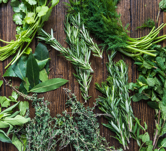 What Are the Best Herbs to Eat in Summer?