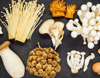 Snow Fungus
