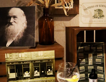 Napiers Best British Bitters G&T