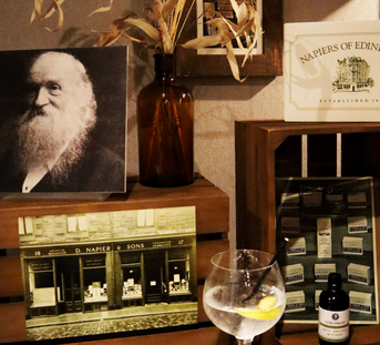 Napiers Best British Bitters G&T