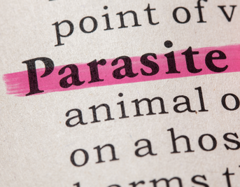 Can Herbs Be Effective in Eliminating Parasites?