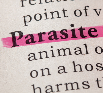 Can Herbs Be Effective in Eliminating Parasites?