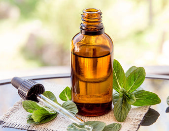 Beyond Fresh Breath: The Unexpected Health Benefits of Peppermint