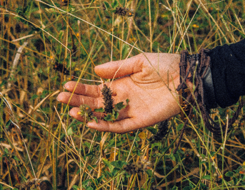 Napiers Blog – Hormonal Balance in 2026: Perimenopause, Metabolism & What Actually Helps