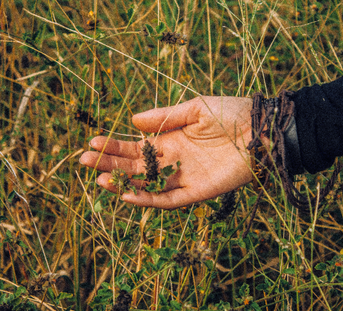 Napiers Blog – Hormonal Balance in 2026: Perimenopause, Metabolism & What Actually Helps