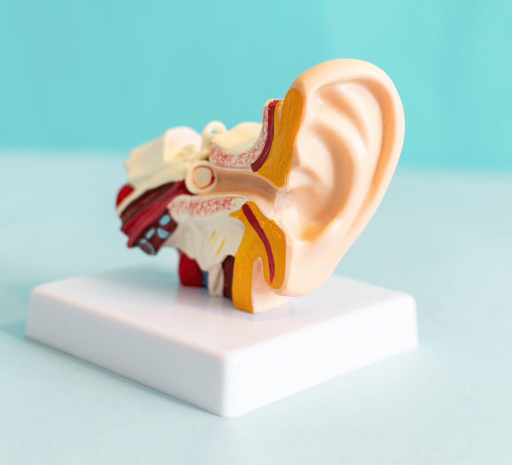 Tinnitus and Medication