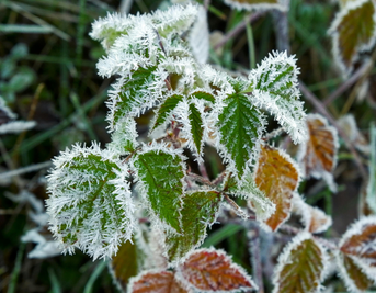 Why Does My Skin Get So Dry in Winter – and How Can I Fix It?