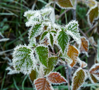 Why Does My Skin Get So Dry in Winter – and How Can I Fix It?