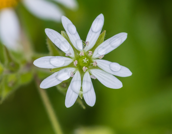 Unveiling the Secrets of Ageless Skin