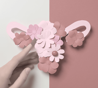 The Link Between Creatine and Hormonal Balance in Women