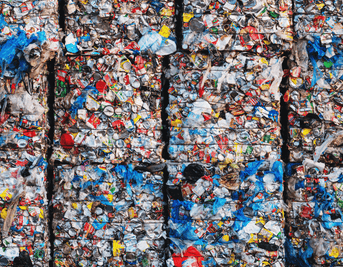 Environmental Toxins