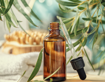 Essential Oils: The Benefits and Uses of Nature's Most Powerful Remedies