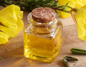 Exploring the Efficacy of Evening Primrose Oil in Easing Menopause Discomforts