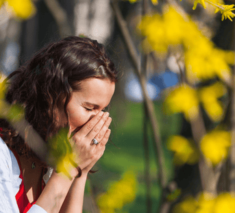 Herbal Prevention for Hay Fever and Summer Allergies