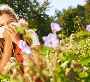 Hayfever