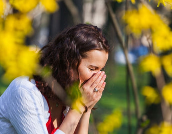 Why Is Hayfever Lasting Longer?