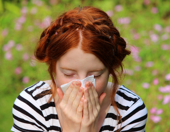 Herbal remedies for hayfever: alleviating severe symptoms and finding relief