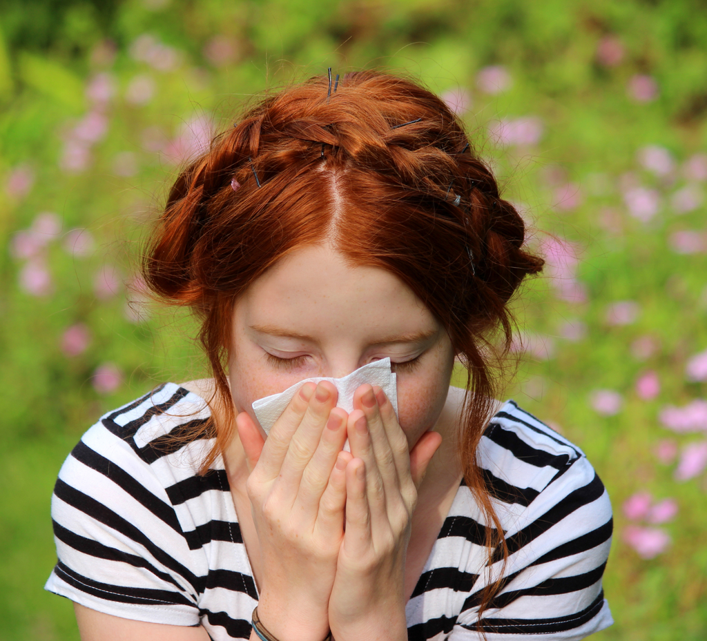 Herbal remedies for hayfever: alleviating severe symptoms and finding relief
