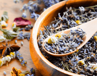 50 Fresh Herb Facts for Curious Minds