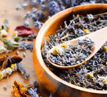 50 Fresh Herb Facts for Curious Minds