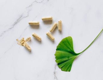 Ginkgo Biloba Brain Health