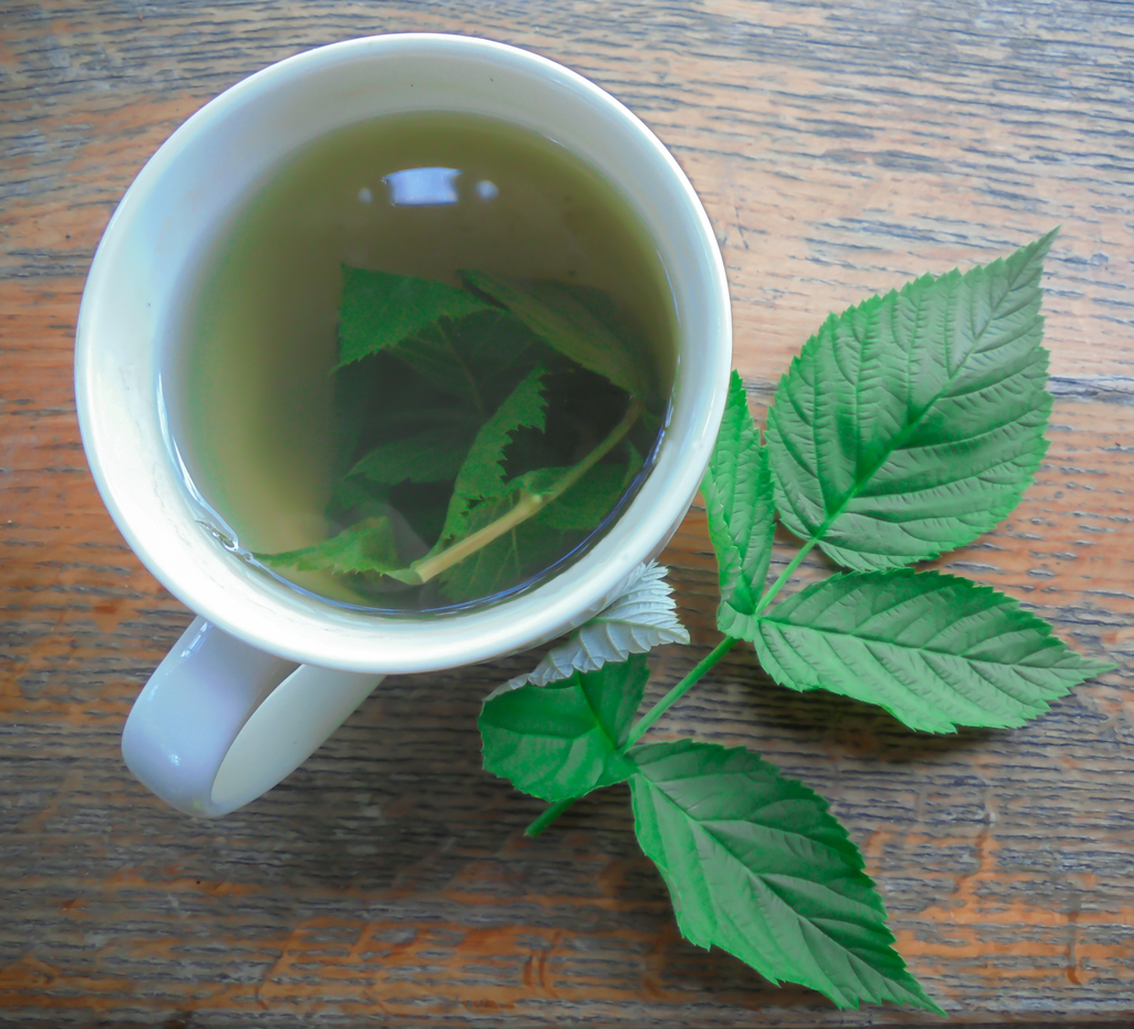 The Role of Raspberry Leaf Tea in Late Pregnancy