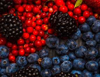 Resveratrol: the health benefits and herbal sources