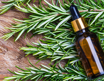 Using Rosemary For Hair - The Napiers Casebook