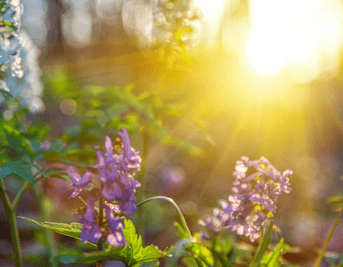 Ending the Spring Equitox