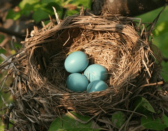 It's the Spring Equinox.