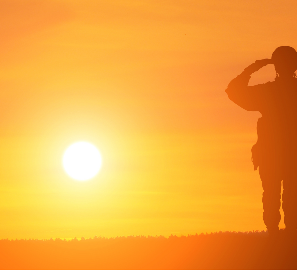 Staying Healthy Naturally for those in the Armed Forces and Veterans