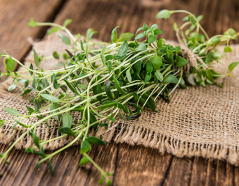Thyme: A Natural Remedy For Clear, Healthy Skin