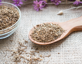 Valerian Root for Insomnia