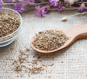 Valerian Root for Insomnia