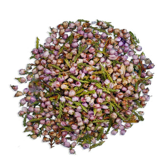 Dried heather flowering tops showing purple and green buds ready for herbal infusion