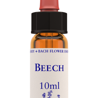 Beech 10ml