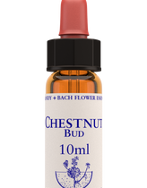 Chestnut Bud 10ml