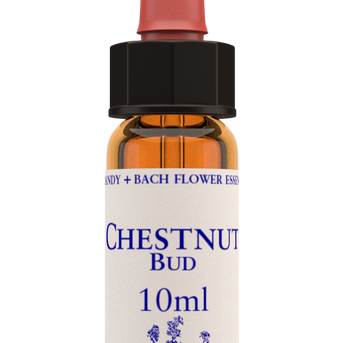 Chestnut Bud 10ml