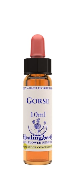 Healing Herbs Gorse Flower Remedy