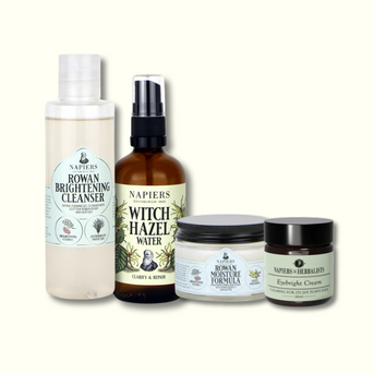 Napiers Problem Skin Bundle
