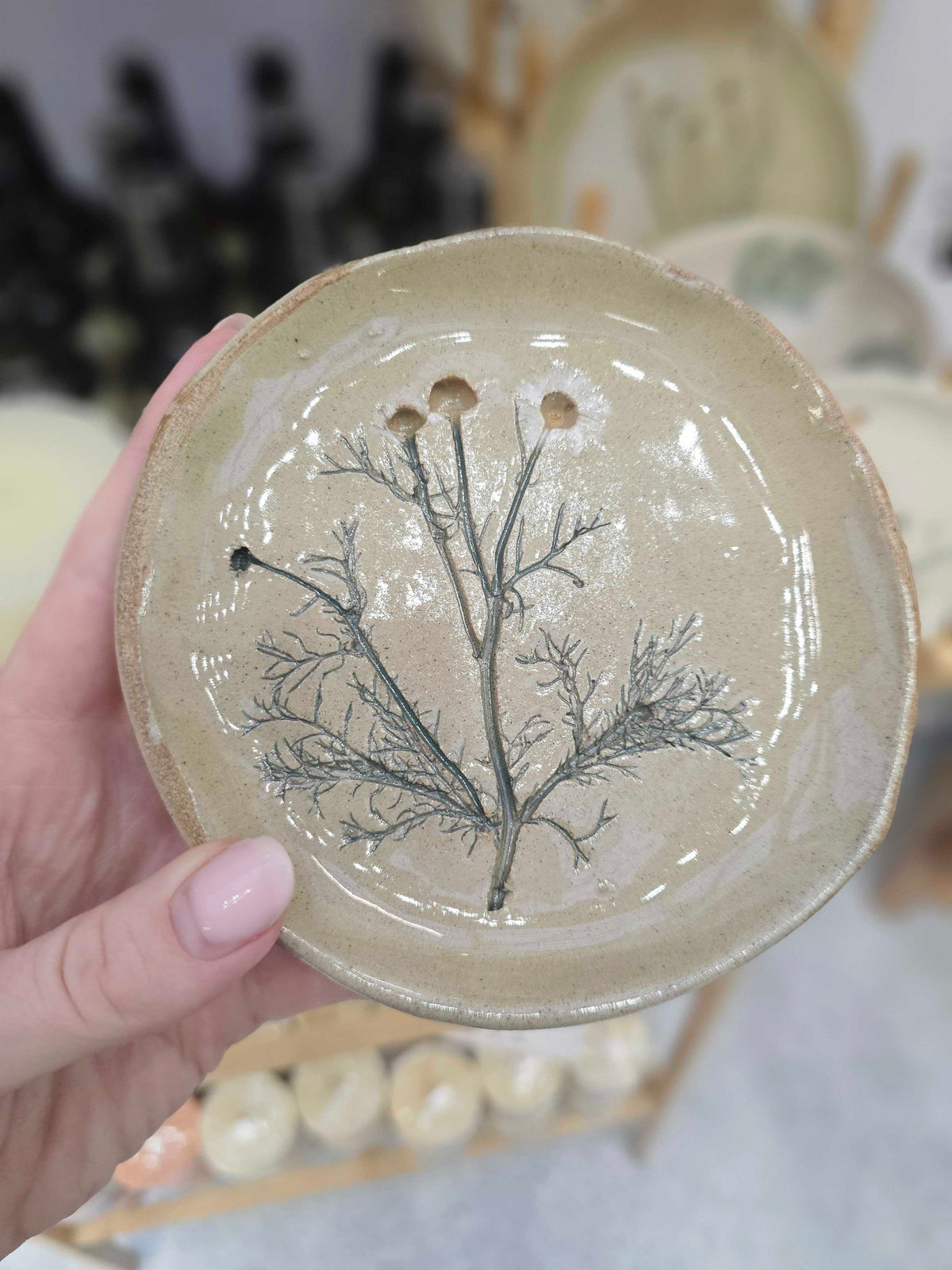 X Forest Tozer Plate