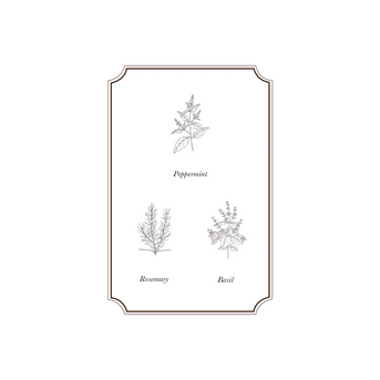 Napiers Study Bundle