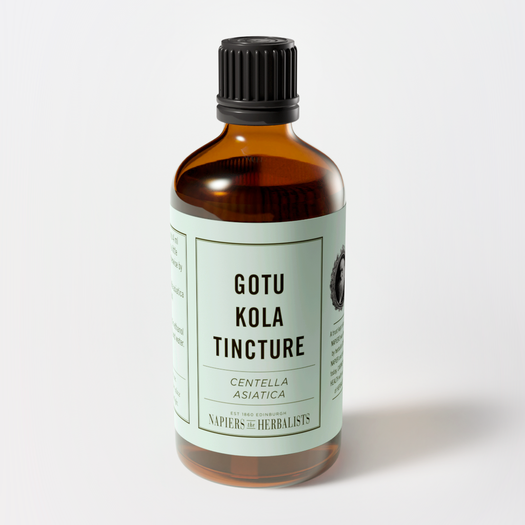 Gotu Kola Tincture (Centella asiatica) - Napiers