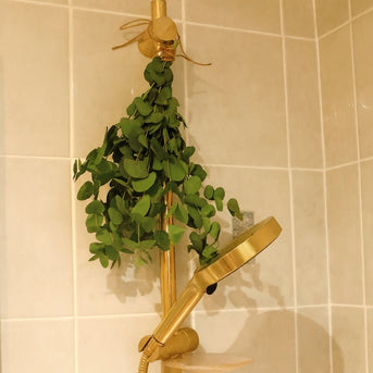 Napiers Aromatherapy Eucalyptus Shower Bunch