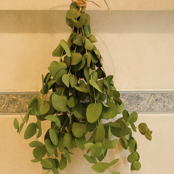 Napiers Aromatherapy Eucalyptus Shower Bunch