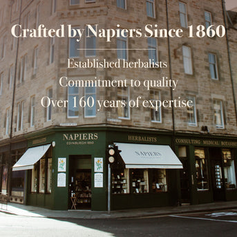 Napiers Creatine Powder 500g